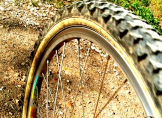  Todo terreno a su alcance 